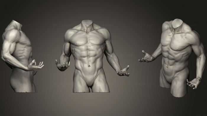 Anatomy of skeletons and skulls (Torso With Arms 8, ANTM_1131) 3D models for cnc
